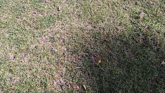 🌹Καλημέρα όμορφη γεμάτη υγεία και χαμόγελα νά είναι ή μέρα μάς 🌹 смотреть онлайн