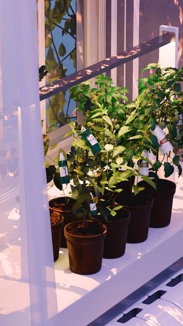 Приоткроем завесу тайны, как мы на самом деле производим наши: смотреть онлайн