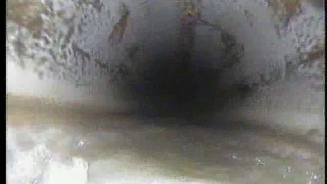 Телеинспекция