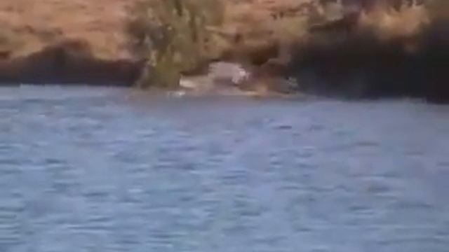 Туристы сняли случайно смотреть онлайн