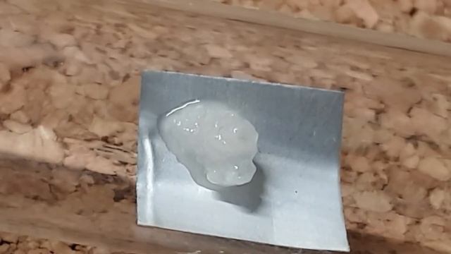 🐜 Camponotus nicobarensis & Mangostan [Tydzień 19] смотреть онлайн