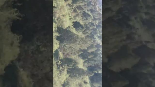 Сайрам Өгем Шымкент 2017. смотреть онлайн