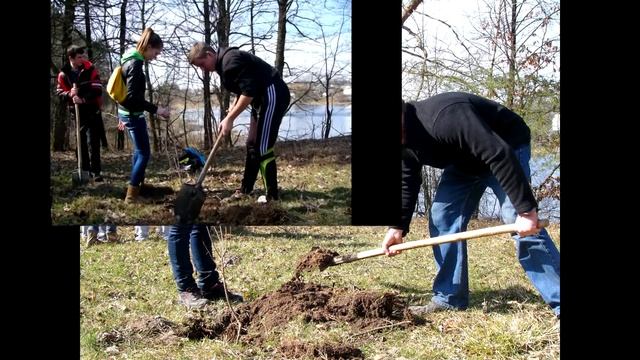 Еко Бригада смотреть онлайн