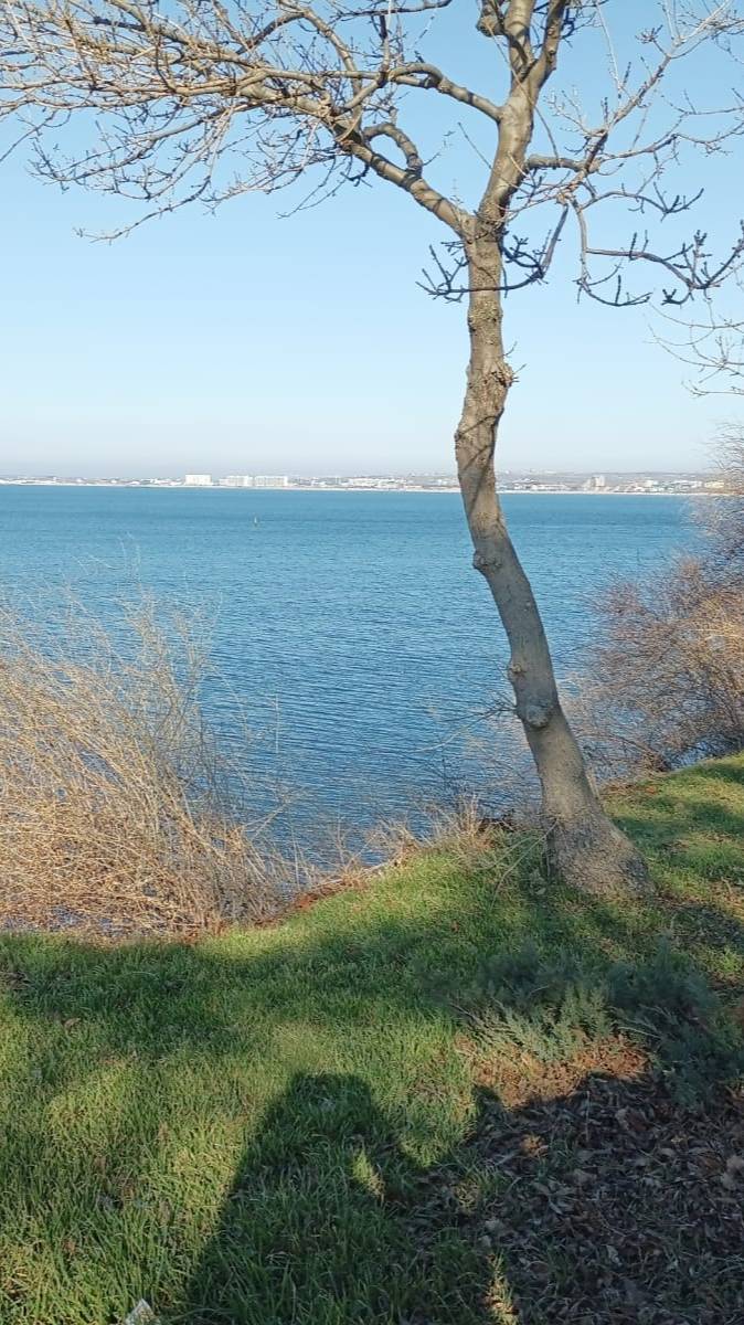 Анапа. Сентябрь 2024 смотреть онлайн