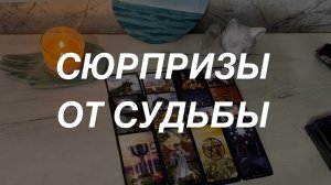 Таро расклад для мужчин. Судьба Приготовила Для Вас Сюрпризы 🌒🎁