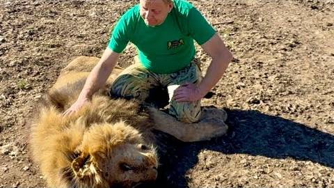 Мы ПРОЩАЕМСЯ с ЛЮБИМЫМ ЛЬВОМ, львы отошли от Марселя давая возможность Олегу Зуб смотреть онлайн