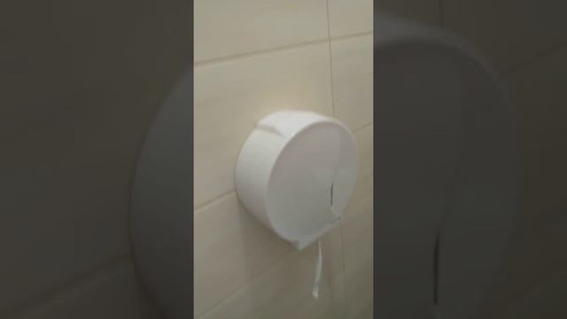 Школьные туалеты в Польше смотреть онлайн