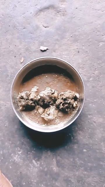 Village Boy Duck meat And Bread Eating смотреть онлайн