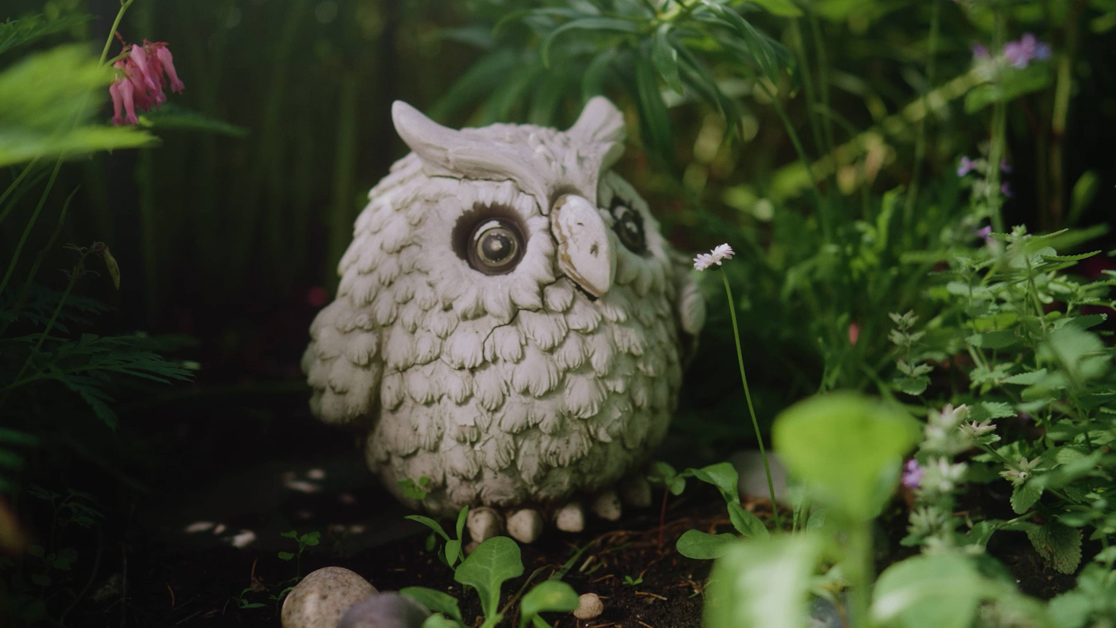 РОЛИК ДЛЯ HH