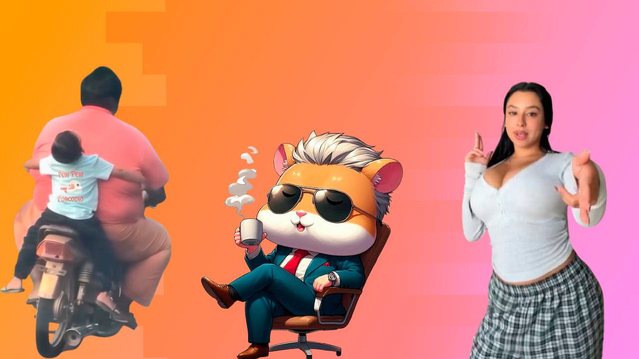 HFM COUB BEST CUBE Coub Приколы 2025 entertainment show, video collection from all over the world смотреть онлайн