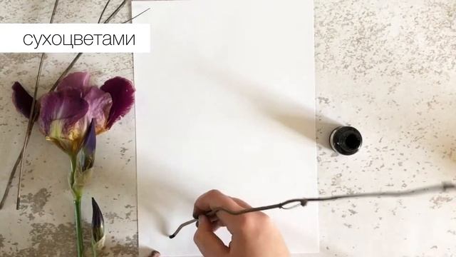 20 ирисов тушью смотреть онлайн