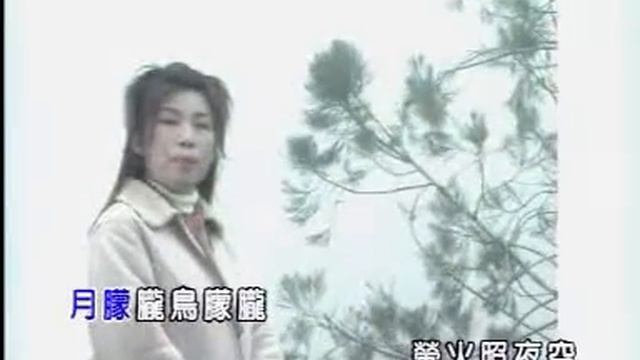 林淑娟CRYSTAL LIN I 月朦胧鸟朦胧 I OFFICIAL MUSIC VIDEO I смотреть онлайн