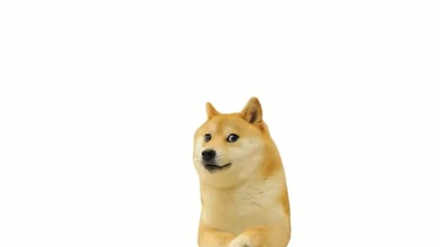 я новый аниматор смотреть онлайн