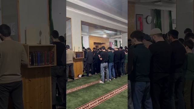 Дуа Палестина Рамадан 2025 смотреть онлайн