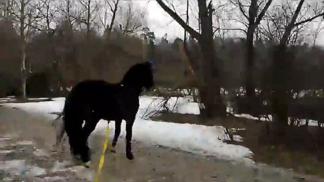 Любимый 3 смотреть онлайн