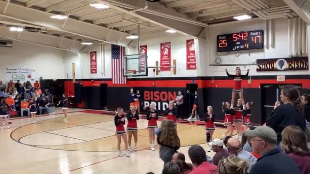 Grayville Bison vs Gallatin County 11-20-23 смотреть онлайн