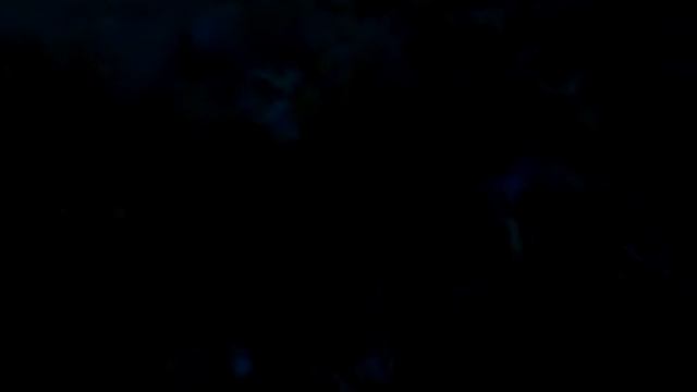 My cat Zayats yells at a grey cat in the dark. Мой кот Заяц орёт ночью смотреть онлайн