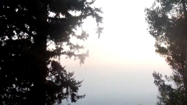 Природа и жизнь! А над городом плывут облака.... смотреть онлайн
