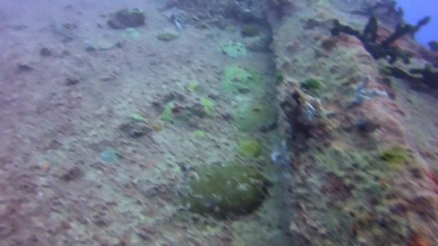 Cayman Salvager Scuba Dive Key West смотреть онлайн