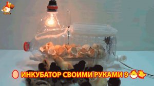 Инкубатор своими руками из подручных материалов и результат инкубации🥚🐣🐤 вариант (9)