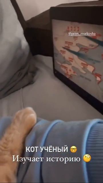 Армин дома смотреть онлайн