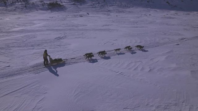 «Дневники Берингии». Выпуск 2