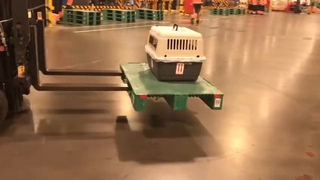 Москва- Иркутск 09.09.2018 смотреть онлайн