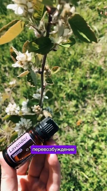 Один из главных помощников молодых мам