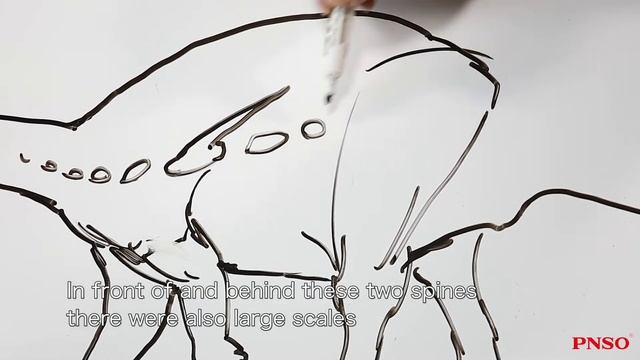 003 Chungkingosaurus | DRAW A DINOSAUR WITH ZHAOCHUANG Season II смотреть онлайн