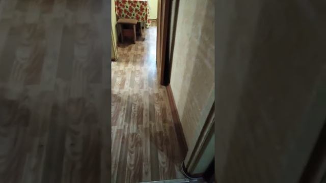 Уничтожение клопов. Поиск. Егорьевск.(1 часть)