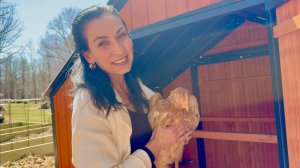 Купили Новых Курочек | Продуктовый Шопинг из Мексиканского Маркета | Семейный Влог | Эгине