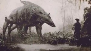 Что скрывают за забором в Австралии