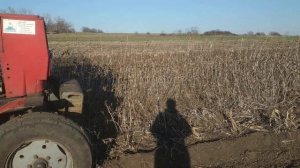 ЮМЗ-6 фрезой 🚜