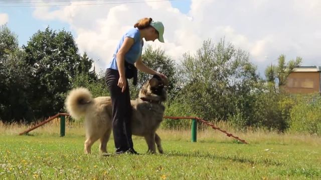 площадка 17 августа 2014г 398 смотреть онлайн