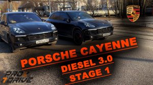 PORSCHE CAYENNE 3.0d STAGE 1 - 310 л.с. и 650Nm СДЕЛАЛИ БЫСТРЕЕ САМЫЙ ПОПУЛЯРНЫЙ ПОРШЕ КАЕН ДИЗЕЛЬ