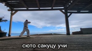 Школа киокушинкай каратэ. Программа на зелёный пояс