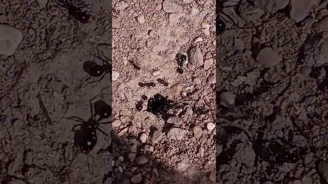 May 15, 2024 смотреть онлайн