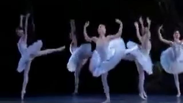 16 Swan Lake смотреть онлайн