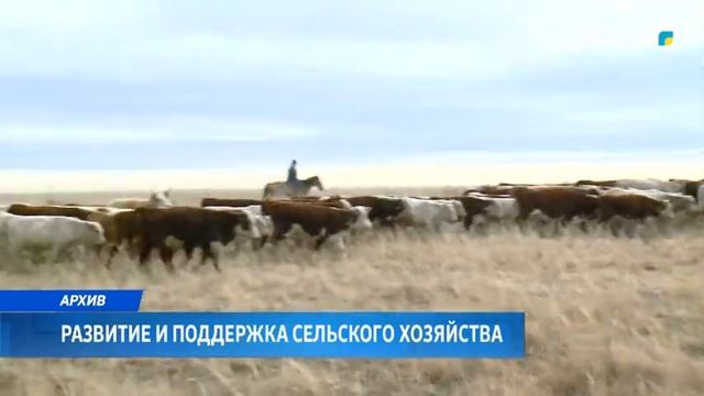 ARQA NEWS | РАЗВИТИЕ И ПОДДЕРЖКА СЕЛЬСКОГО ХОЗЯЙСТВА смотреть онлайн