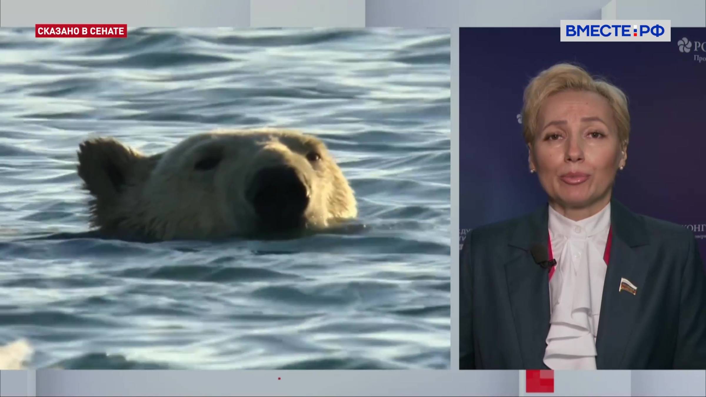 VI Международный форум «Арктика – территория диалога». Татьяна Сахарова. Сказано в Сенате