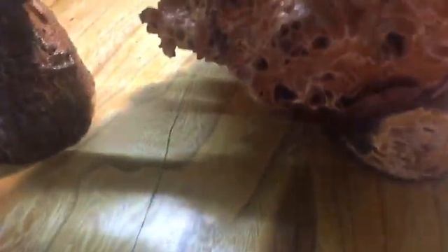 VID 20230213 WA0002 смотреть онлайн