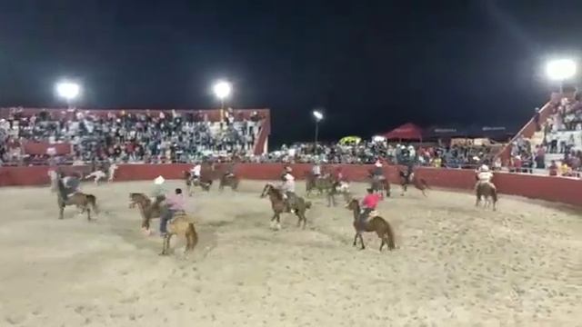 Otro ángulo: Muere vaquero de 18 años al ser Corneado por el toro "Oscuro Deseo" En el retoño смотреть онлайн