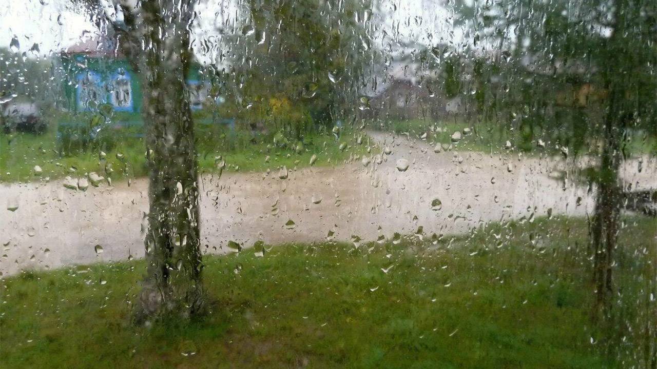 После дождичка в среду