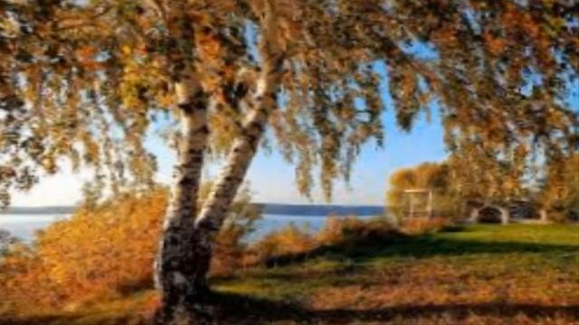 ВЕТЕРОК И БЕРЕЗКА - Жанна Вишнякова Арс смотреть онлайн