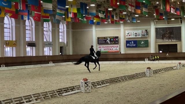 13.01.2023 Анисимова Татьяна Бриг смотреть онлайн