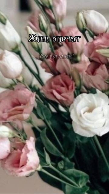 С днём рождения тебя 🍸🍾 смотреть онлайн