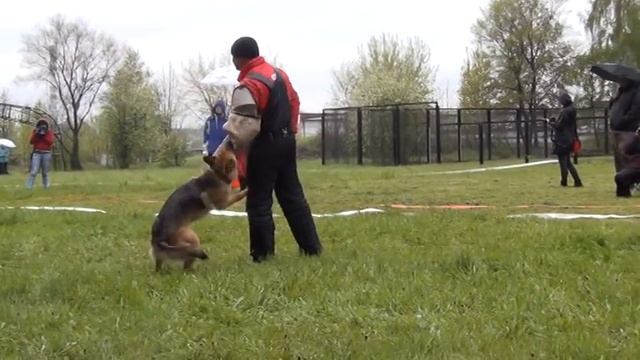 Кемерово КЧК 2013 - 23 смотреть онлайн