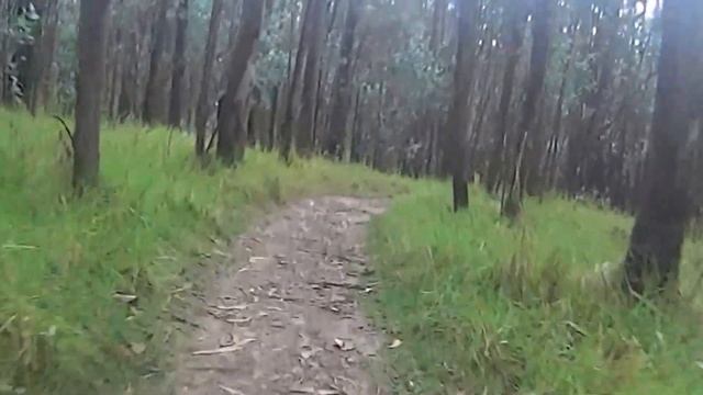 Mountain bike en el Parque Metropolitano de Quito смотреть онлайн