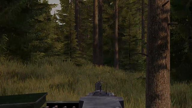 Камыша минус и поездка по лесам смотреть онлайн