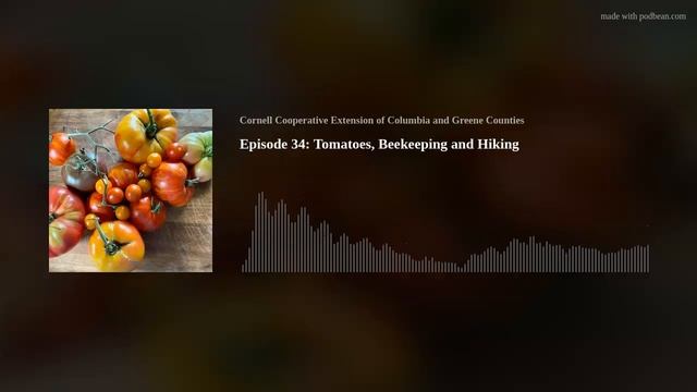 Episode 34: Tomatoes, Beekeeping and Hiking смотреть онлайн